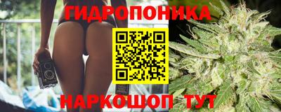 стаф Берёзовский