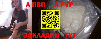 стаф Берёзовский