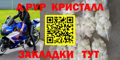 стаф Берёзовский