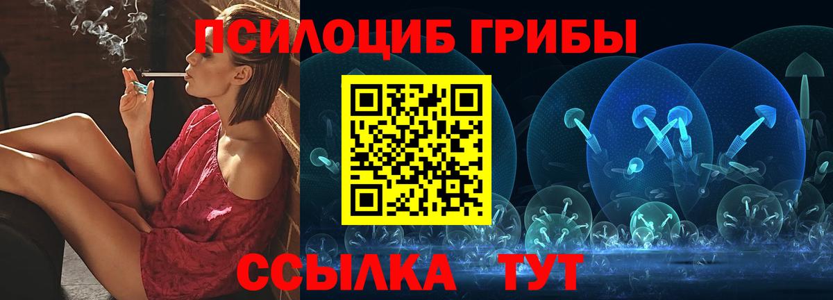 Ачхой-Мартан  Псилоцибиновые грибы MAGIC MUSHROOMS  Вход с VPN 